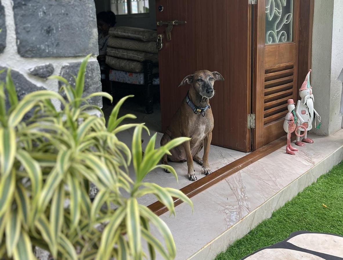 Angel House -Your Private Pet Friendly Haven Lonavala Eksteriør billede