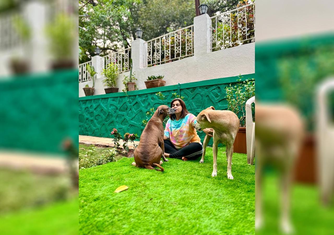 Angel House -Your Private Pet Friendly Haven Lonavala Eksteriør billede